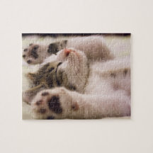 Adorável gatinho quebra-cabeça