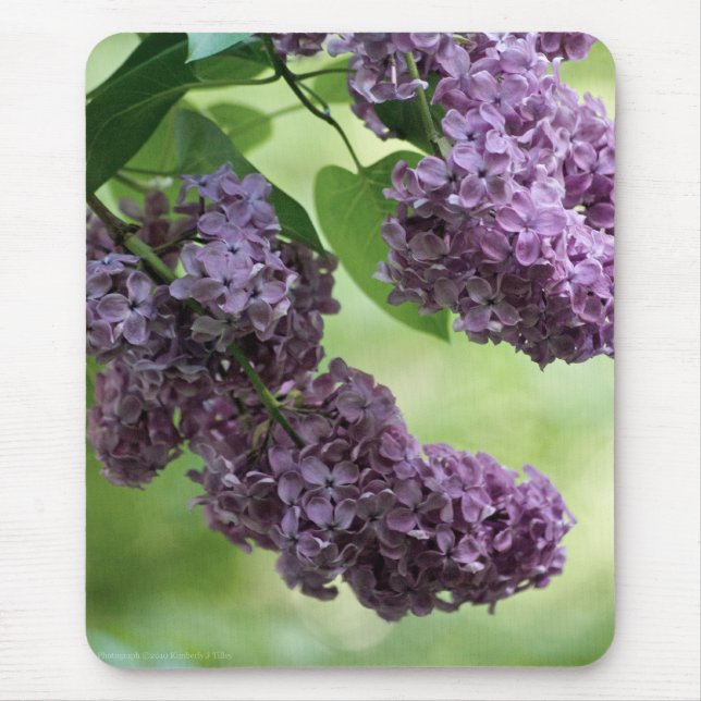 Adorável Primavera Mousepad (Frente)