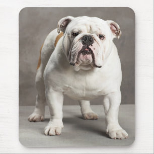 Adoro o inglês Bulldog Puppy Dog Mousepad