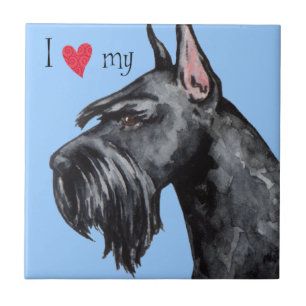 Adoro o meu Schnauzer Gigante