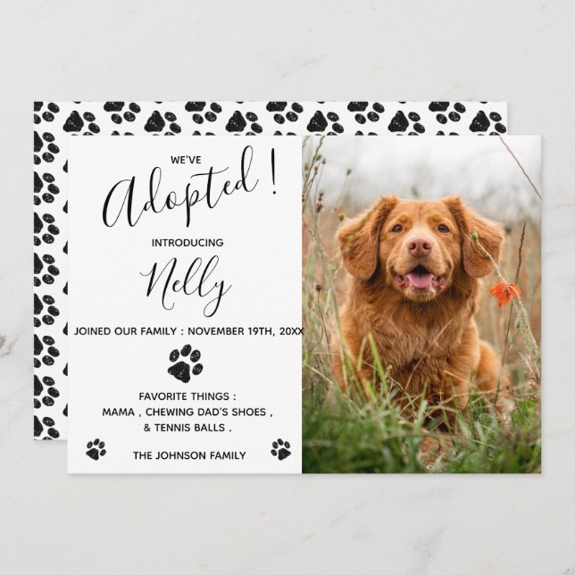 Adotamos novo anúncio de Pet (Frente/Verso)