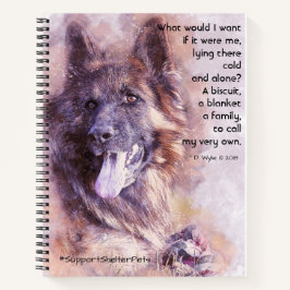 Adotar Um Abrigo - German shepherd