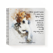 Adotar Um Prateleira - Beagle