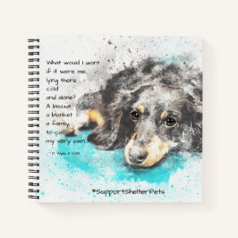 Adotar Um Prateleira - Dachshund