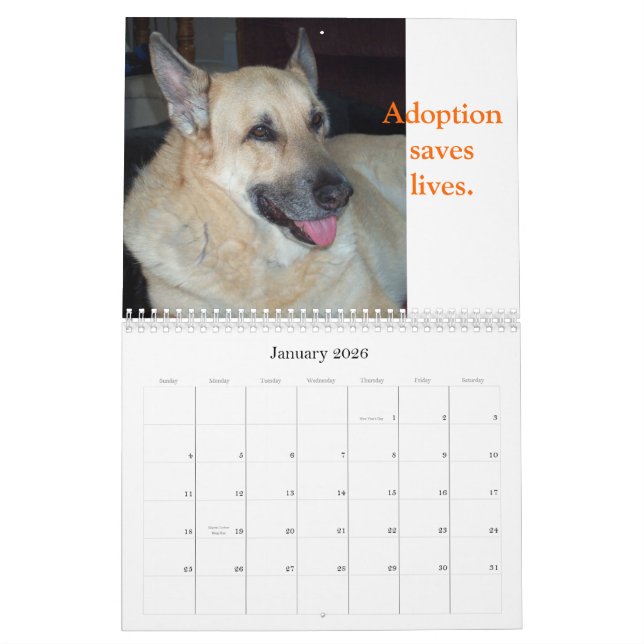 Adote um calendário do animal do abrigo (Jan 2026)
