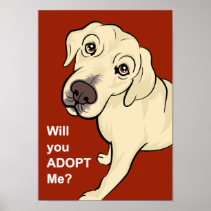 Adote um poster do cão