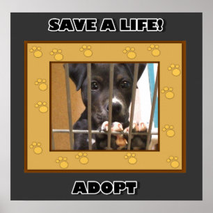 Adote um poster do filhote de cachorro