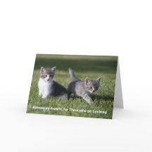 Adventure aguarda cartão de nota de gatinho