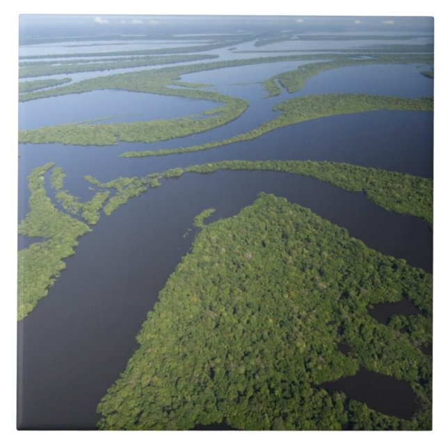 Aérea do Arquipélago de Anavilhanas, Inundada (Frente)