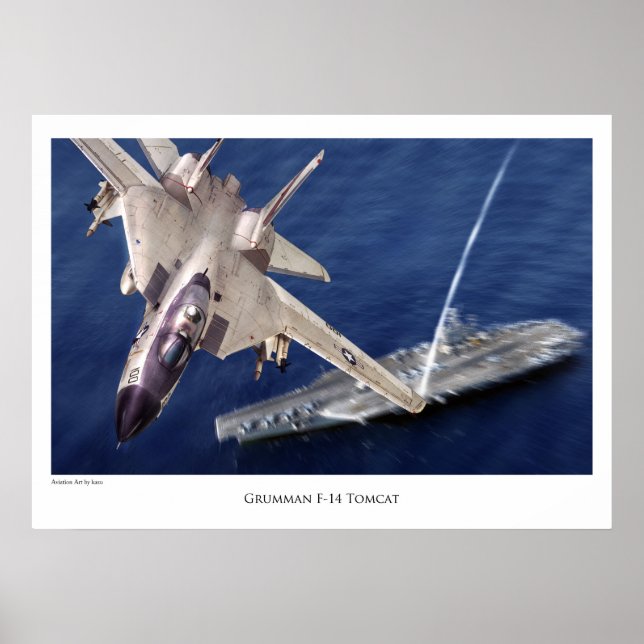 Aeronáutica Poster "F-14 Tomcat" (Frente)
