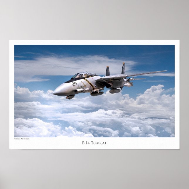 Aeronáutica Poster "F-14 Tomcat" (Frente)