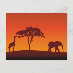 Afafricano Safari Silhouette - Cartão postal