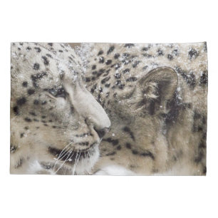 Afago do leopardo de neve