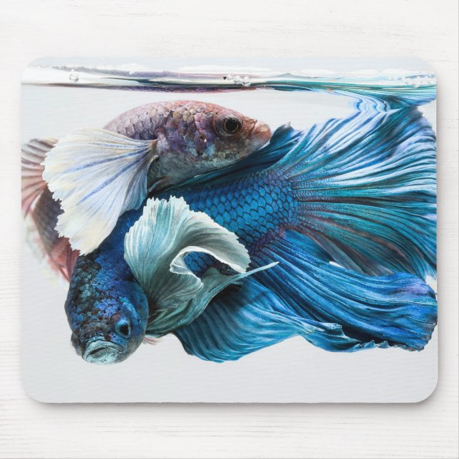 Afagos Betta Mousepad (Frente)
