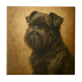 Affenpinscher