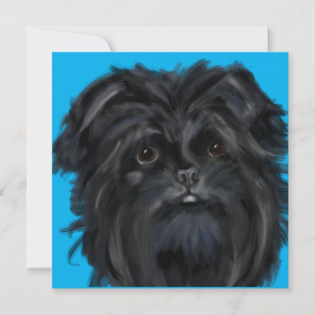 Affenpinscher (Frente)