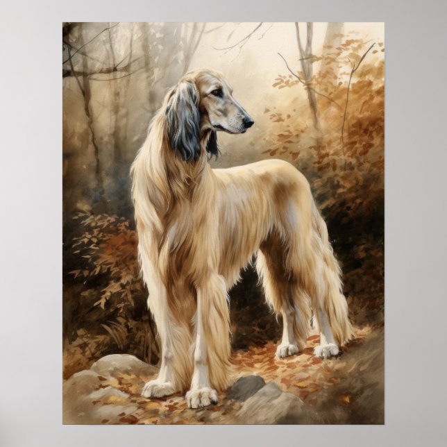 Afghan Hound Art Impressão Poster (Frente)
