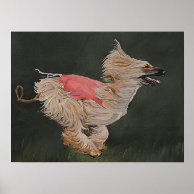 Afghan Hound Coursing Reproduction Poster Art (Frente)