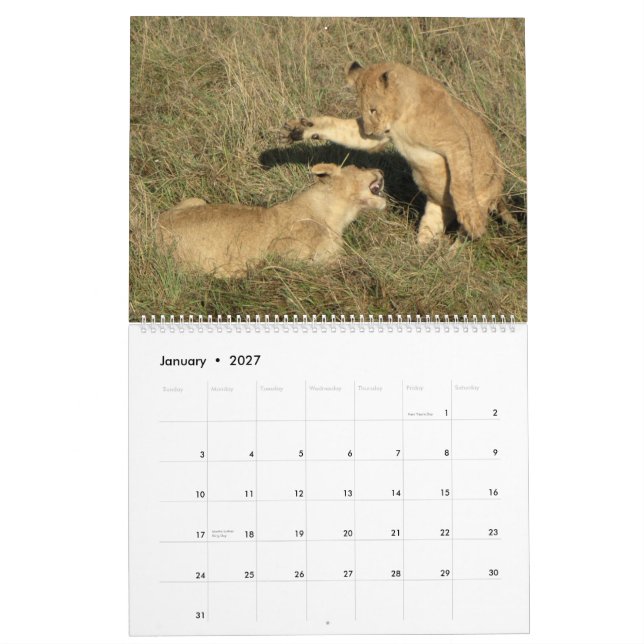 ÁFRICA - calendário 2014 de milhão animais (Jan 2027)