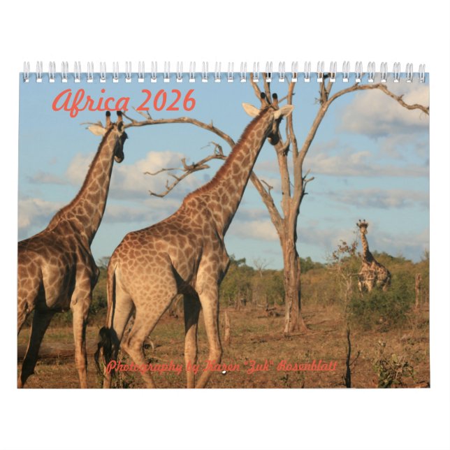 África - Calendário 2026 (Capa)
