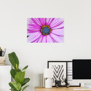 África Daisy Feche a Poster Art