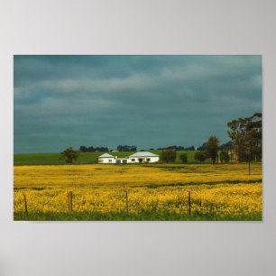 África do Sul Paisagem Rural Canola Fields Poster