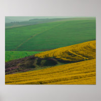 África do Sul Paisagem Rural Canola Fields Poster