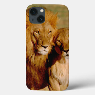 África, Namíbia, Okonjima. Leão e leoa