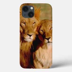 África, Namíbia, Okonjima. Leão & leoa