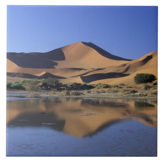 África, Namíbia, Parque Nacional do Namibe, Sossus (Frente)