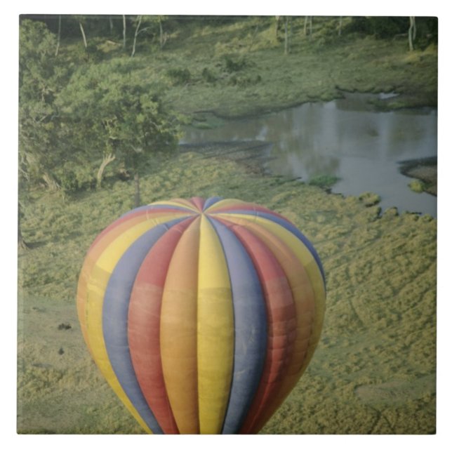 África, Quênia, Masai Mara Reserva Nacional, 3 (Frente)