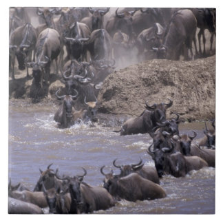 África, Quênia, Parque Nacional Masai Mara.