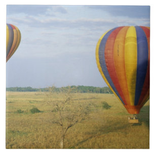 África, Quênia, Reserva Nacional Masai Mara,