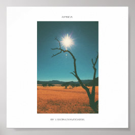 África Savannah Grass Tree View Panorama Poster