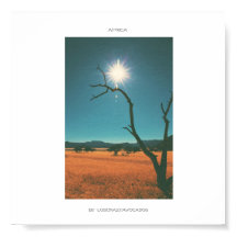 África Savannah Grass Tree View Panorama Poster