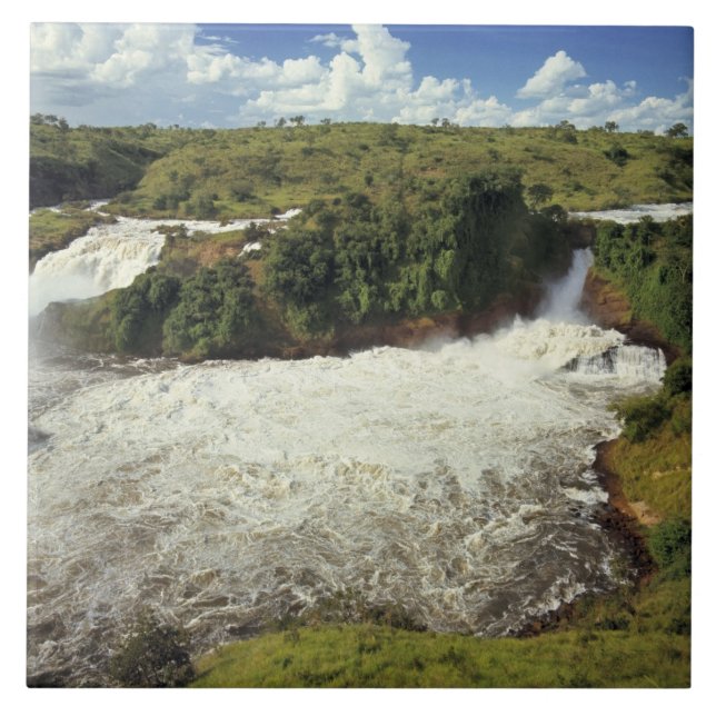 África, Uganda, Parque Nacional Murchison Falls. A (Frente)