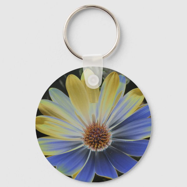 African Daisy Lapis e Dourada Chaveiro (Frente)
