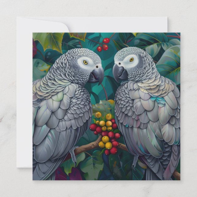 African Grey Persimmon-Berry Duet (Frente)