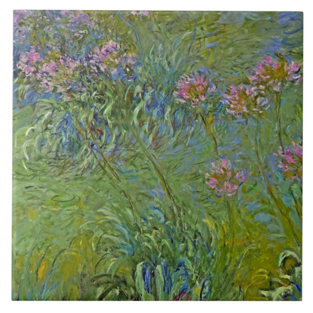 Agapanthus Flowers (por Claude Monet) (Frente)