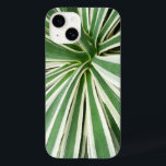 Agave Plant Green e White Strike<br><div class="desc">Aqui está uma foto do centro de uma planta Agave dos conservatórios do Brookside Garden. O guia nos explicou que essa é a planta usada para fazer tequila. Esta foto também é apresentada como o papel de parede widescreen "Agave Plant" em MLeWallpapers.com.</div>