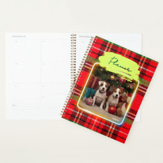AGENDA チェック柄がかわいいジャックラッセルテリアの子犬たちとクリスマス♡