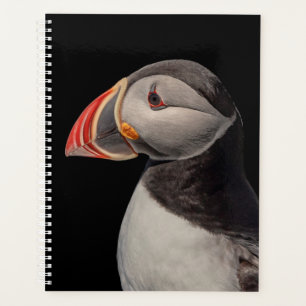Agenda 2022 Atlantic Puffin no Maine