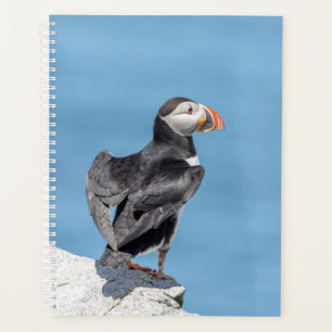 Agenda 2022 Atlantic Puffin no Maine