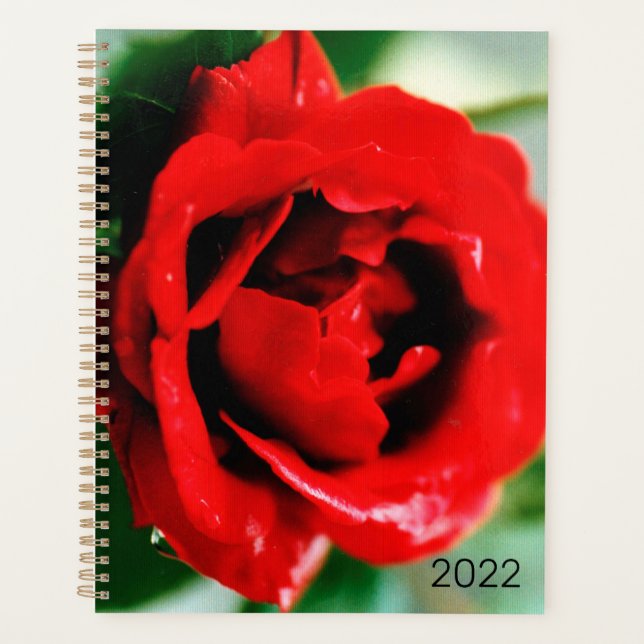 Agenda 2022 rosa vermelha magnífica com gotas de orvalho (Frente)