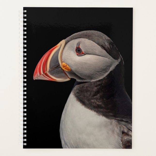 Agenda 2024 Atlantic Puffin no Maine (Frente)