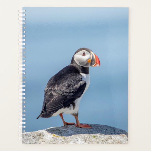 Agenda 2024 Atlantic Puffin no Maine (Frente)