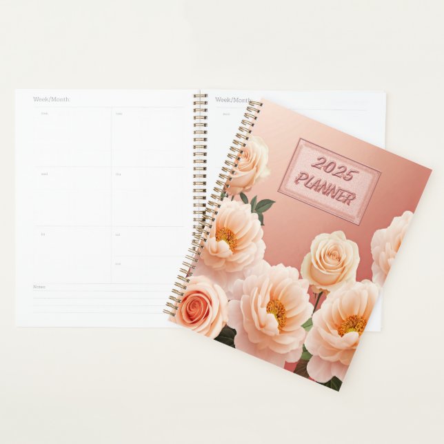 AGENDA 2025 (Exibição)