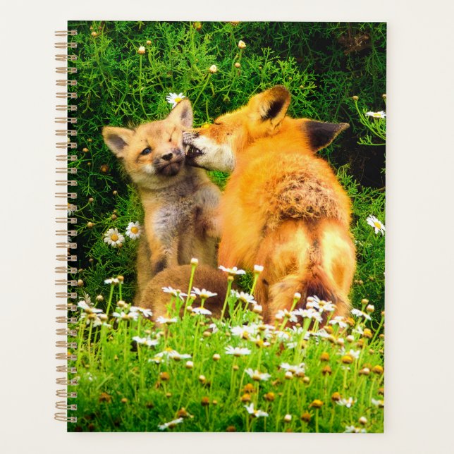 Agenda A Mother’s Kiss Wildlife Nature Art Print (Frente)