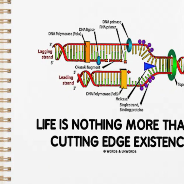 Agenda A Vida Não É Mais Do Que Uma Existência De Ponta (DNA replication planner for anyone who believes that life is nothing more than a cutting existence!)