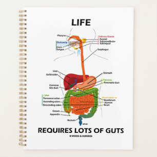 Agenda A Vida Requer Muito Humor Gastroenterológico De T